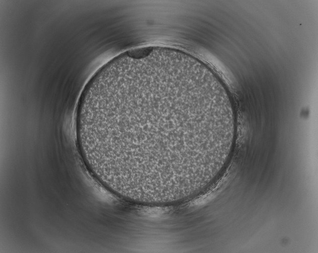 X0000116600892201001081147