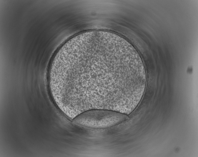 X0000116600893201001081147