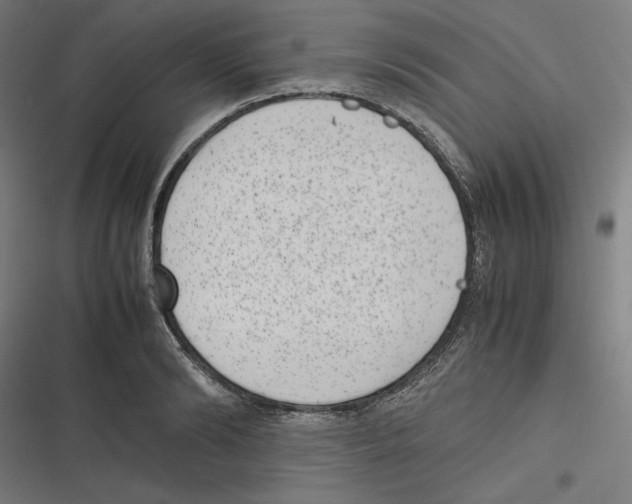 X0000116600894201001081147