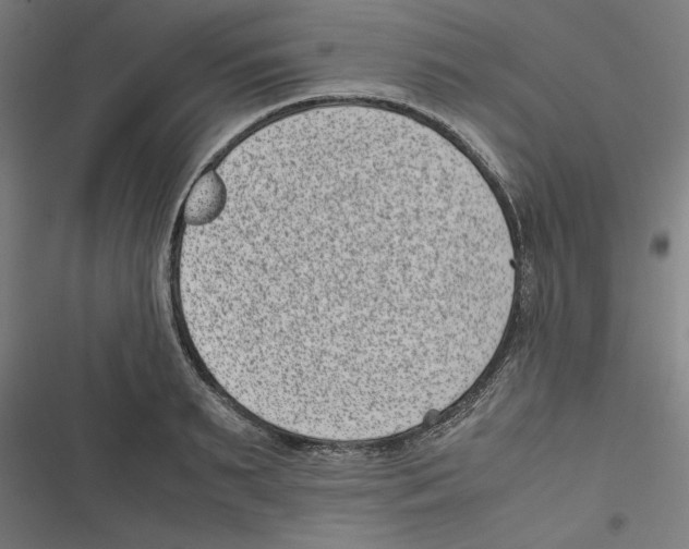 X0000116600895201001081147