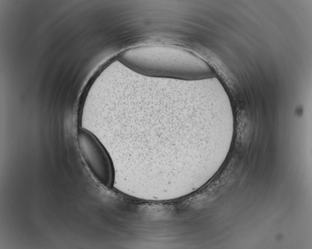 X0000116600896201001081147