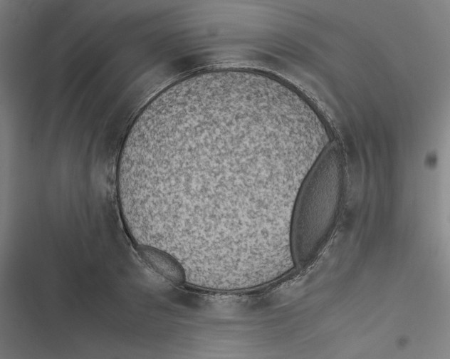 X0000116600897201001081147
