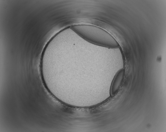 X0000116600901201001081147