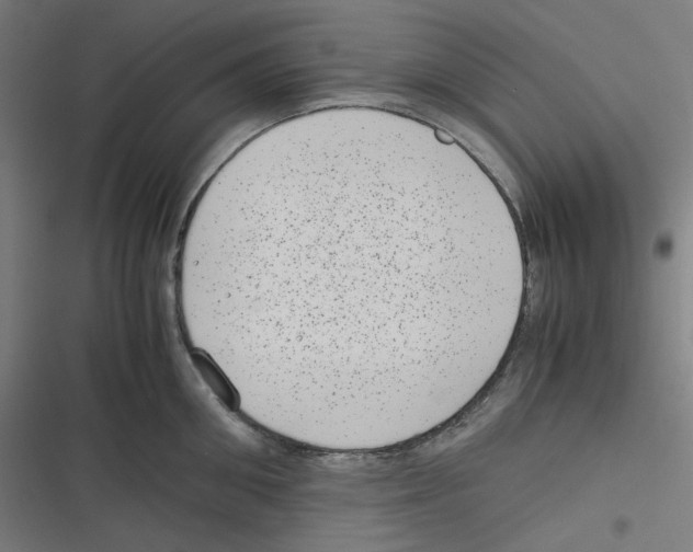 X0000116600906201001081147