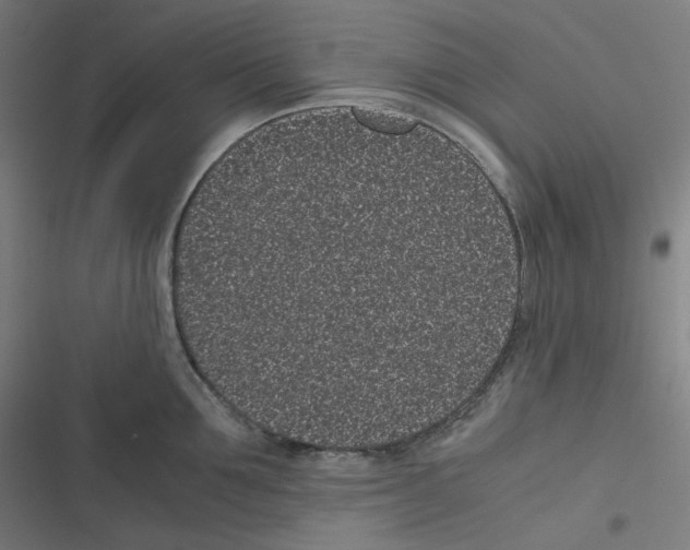 X0000116600907201001081147