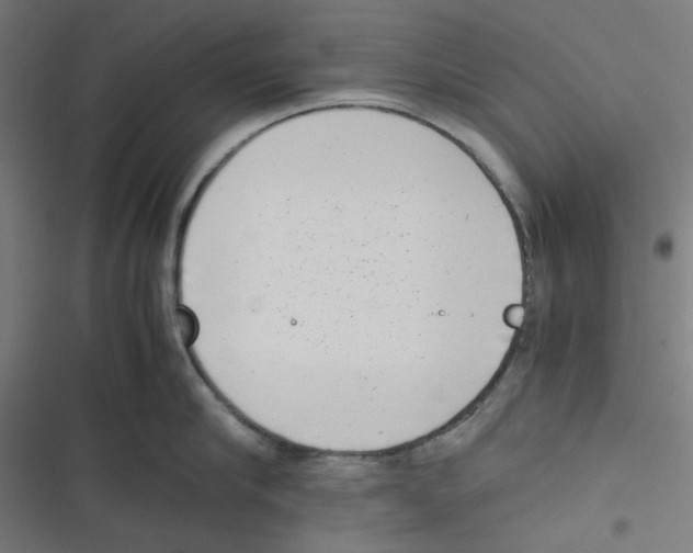 X0000116600910201001081147