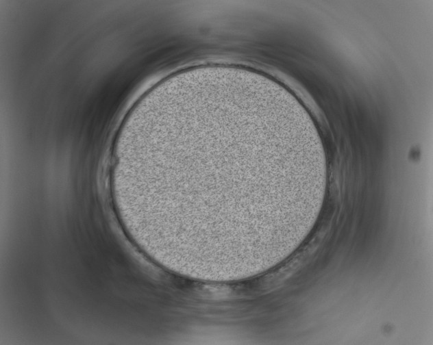 X0000116600911201001081147