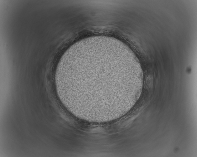 X0000116600913201001081146