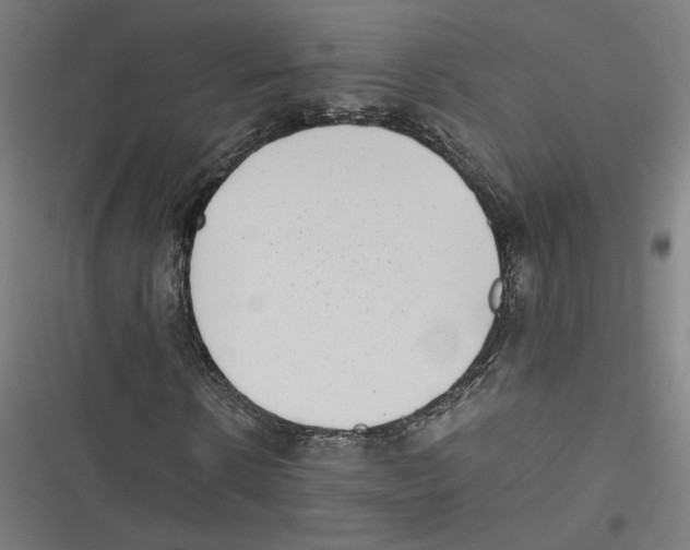 X0000116600914201001081146