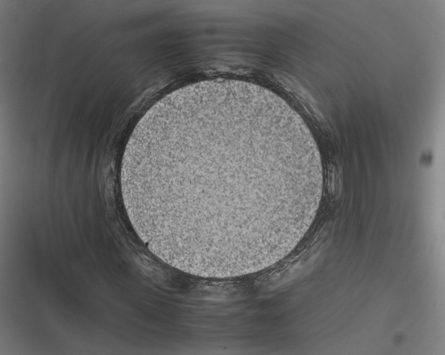 X0000116600915201001081146