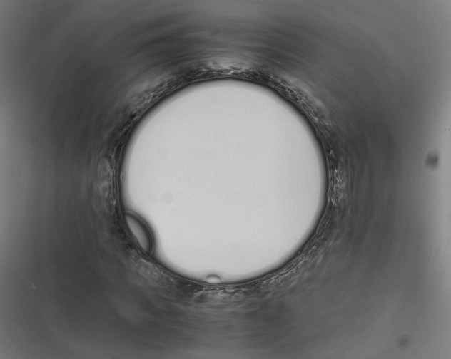X0000116600917201001081146