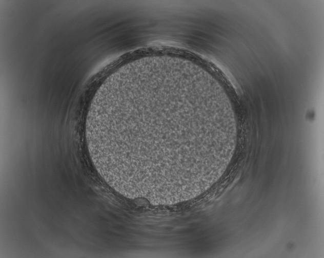 X0000116600919201001081146