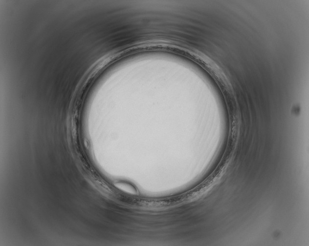 X0000116600921201001081146