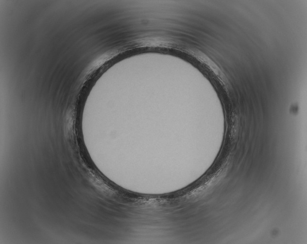 X0000116600922201001081146