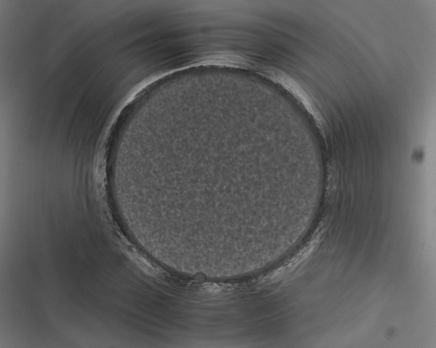 X0000116600923201001081146