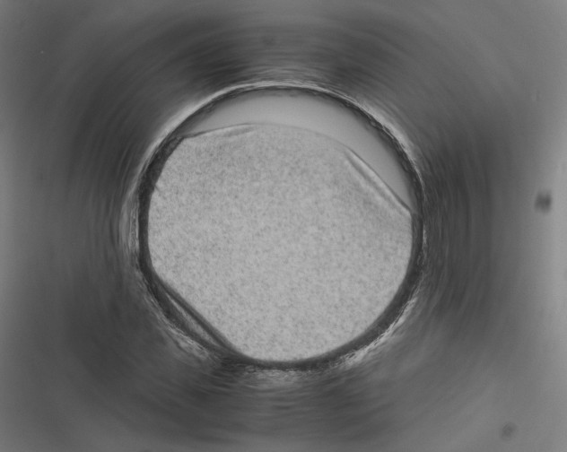 X0000116600925201001081146