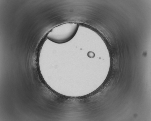 X0000116600926201001081146