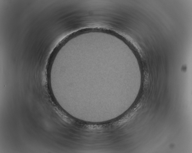 X0000116600927201001081146