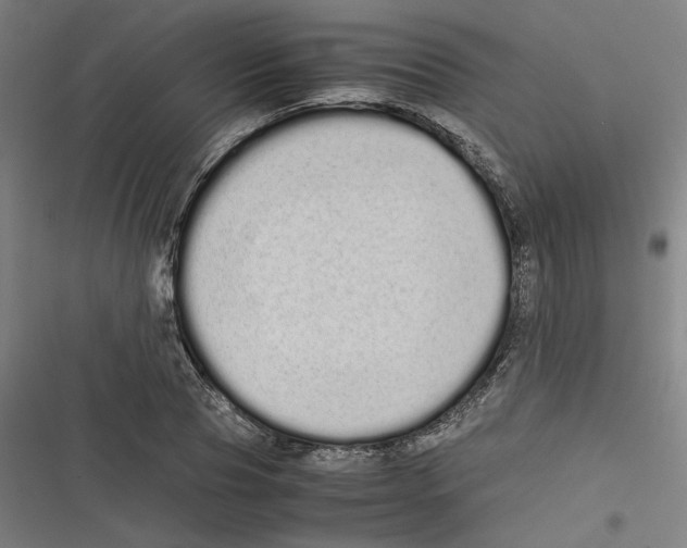 X0000116600929201001081146
