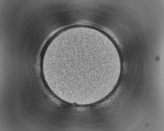 X0000116600931201001081146