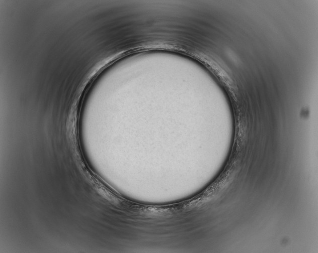 X0000116600933201001081146