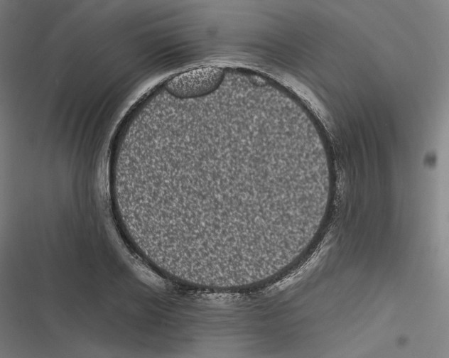 X0000116600934201001081146