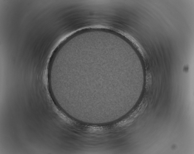 X0000116600935201001081146