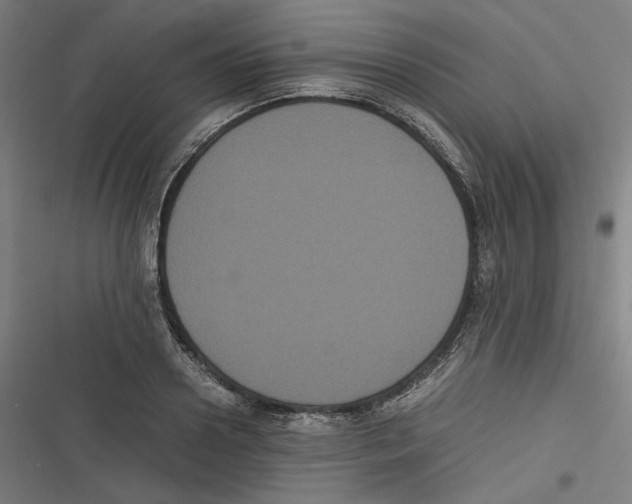 X0000116600938201001081146