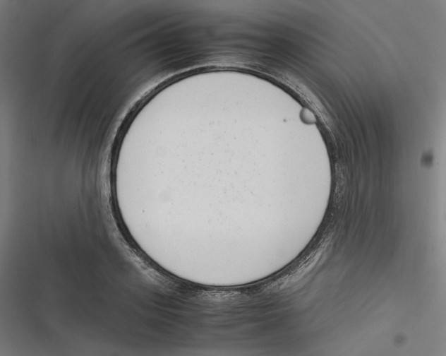 X0000116600939201001081146