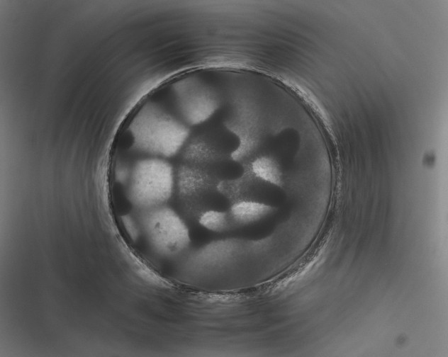 X0000116600941201001081146