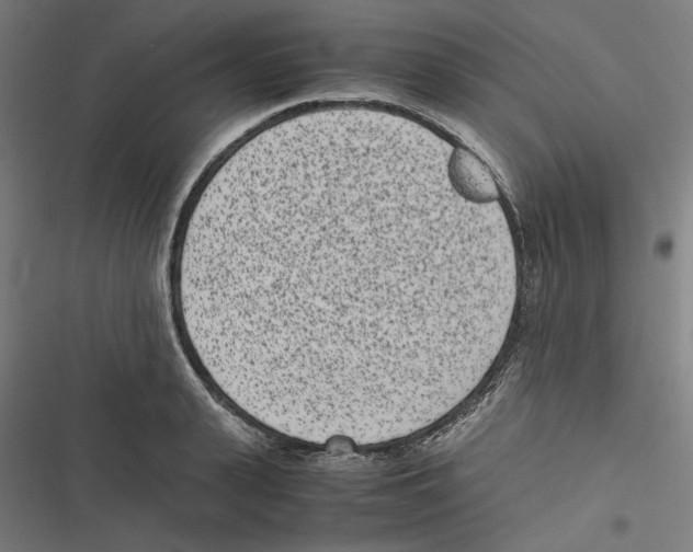 X0000116600943201001081147