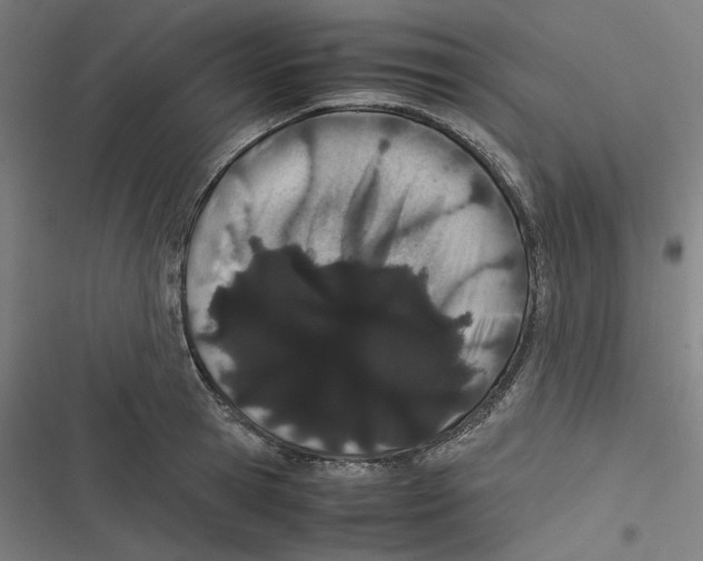 X0000116600945201001081147