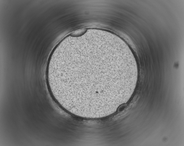 X0000116600946201001081147