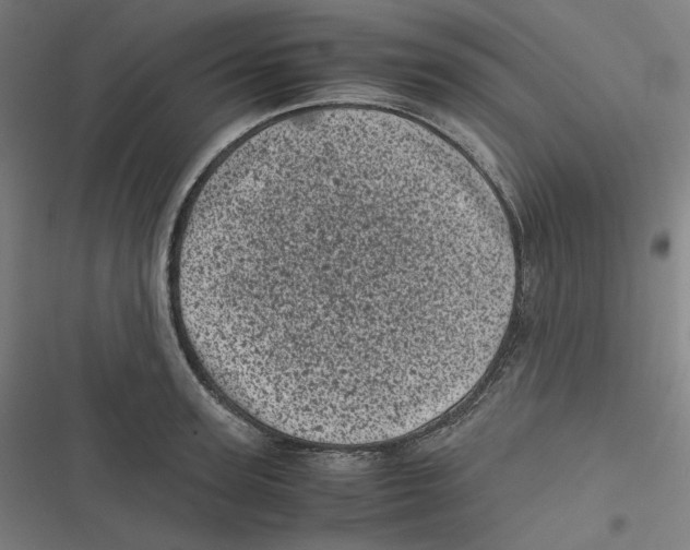 X0000116600947201001081147