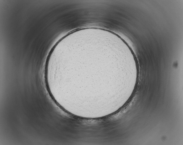 X0000116600949201001081147