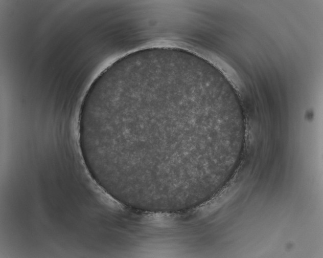 X0000116600950201001081147