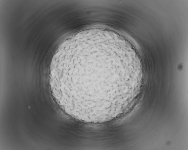 X0000116600953201001081147