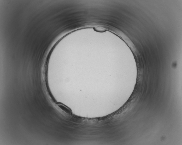 X0000116600955201001081147