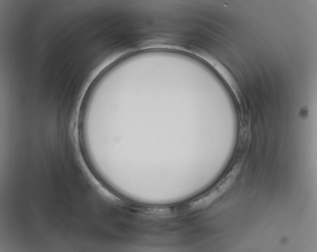 X0000116600957201001081147