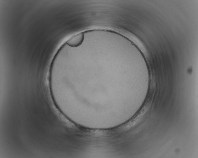 X0000116600958201001081147