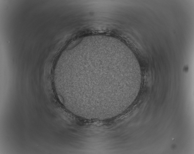 X0000116600961201001081146