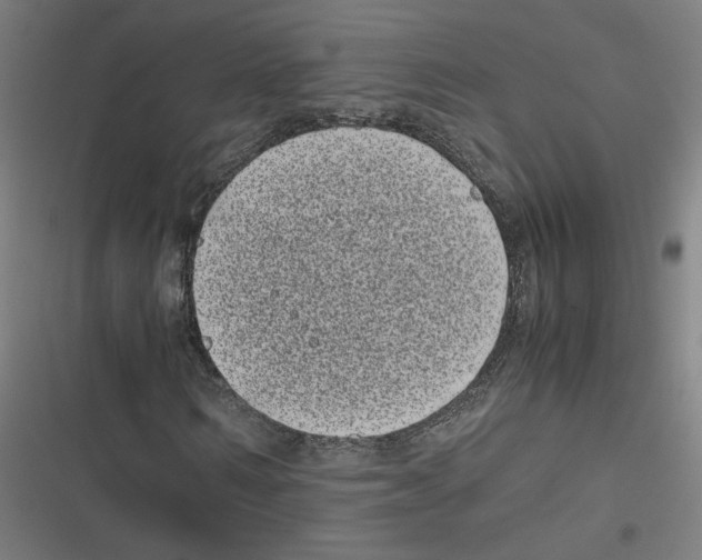 X0000116600962201001081146