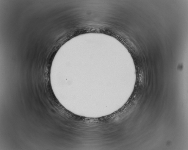 X0000116600964201001081146