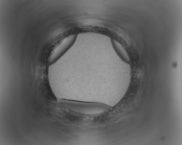 X0000116600965201001081146
