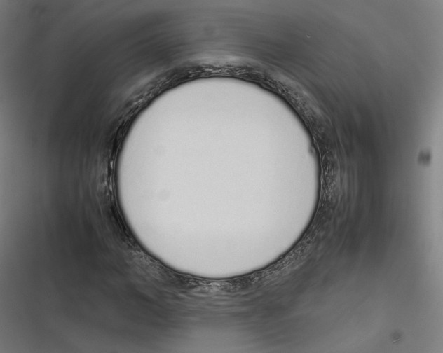 X0000116600966201001081146