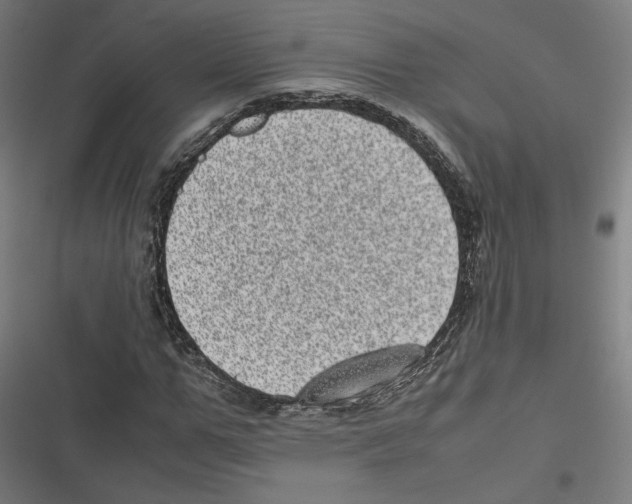 X0000116600967201001081146