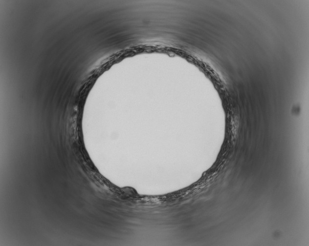 X0000116600968201001081146