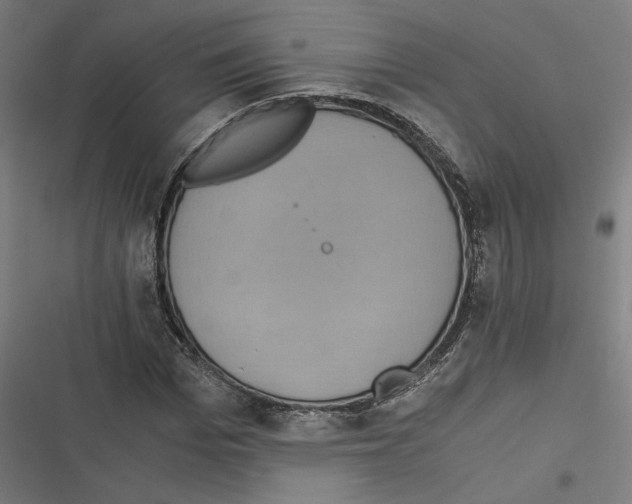 X0000116600969201001081146