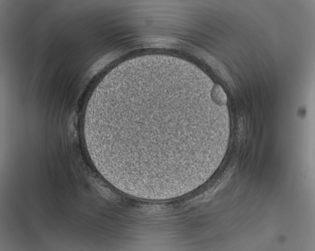 X0000116600970201001081146