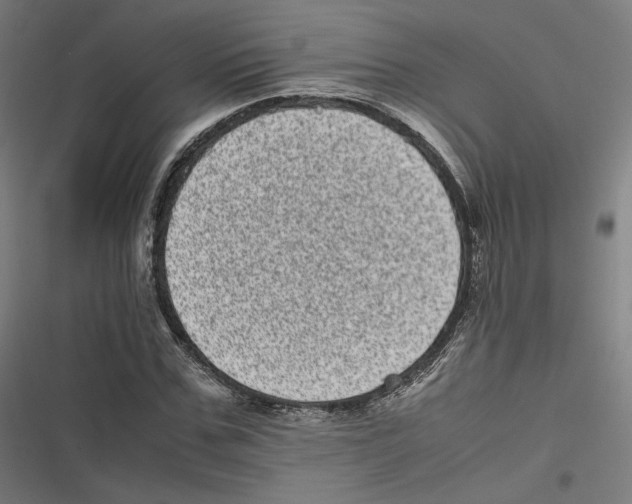 X0000116600971201001081146